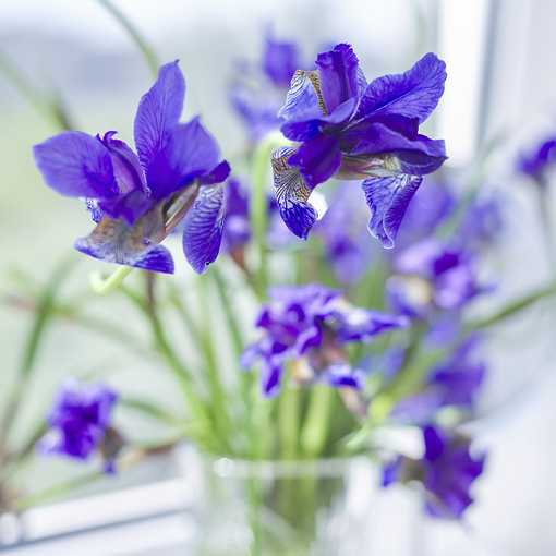 Product Eau My Unicorn Set base image