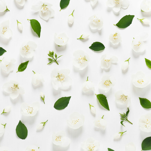 Product Stitch Fragrance & Make-Up Set base image