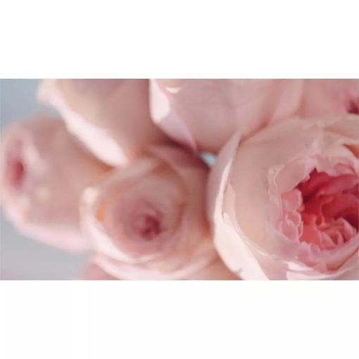 Product Beautiful Magnolia Eau de Parfum 100ml base image