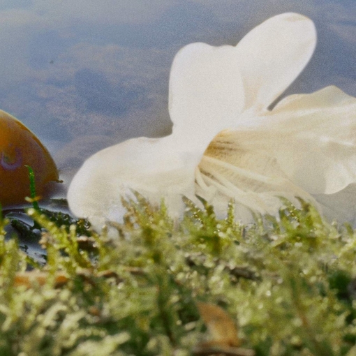 Product Nomade Eau De Parfum Set base image