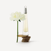 Product L' Eau D' Issey Eau De Toilette Set thumbnail image
