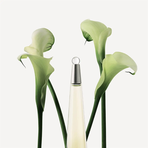 Product L' Eau D' Issey Eau De Toilette Set base image